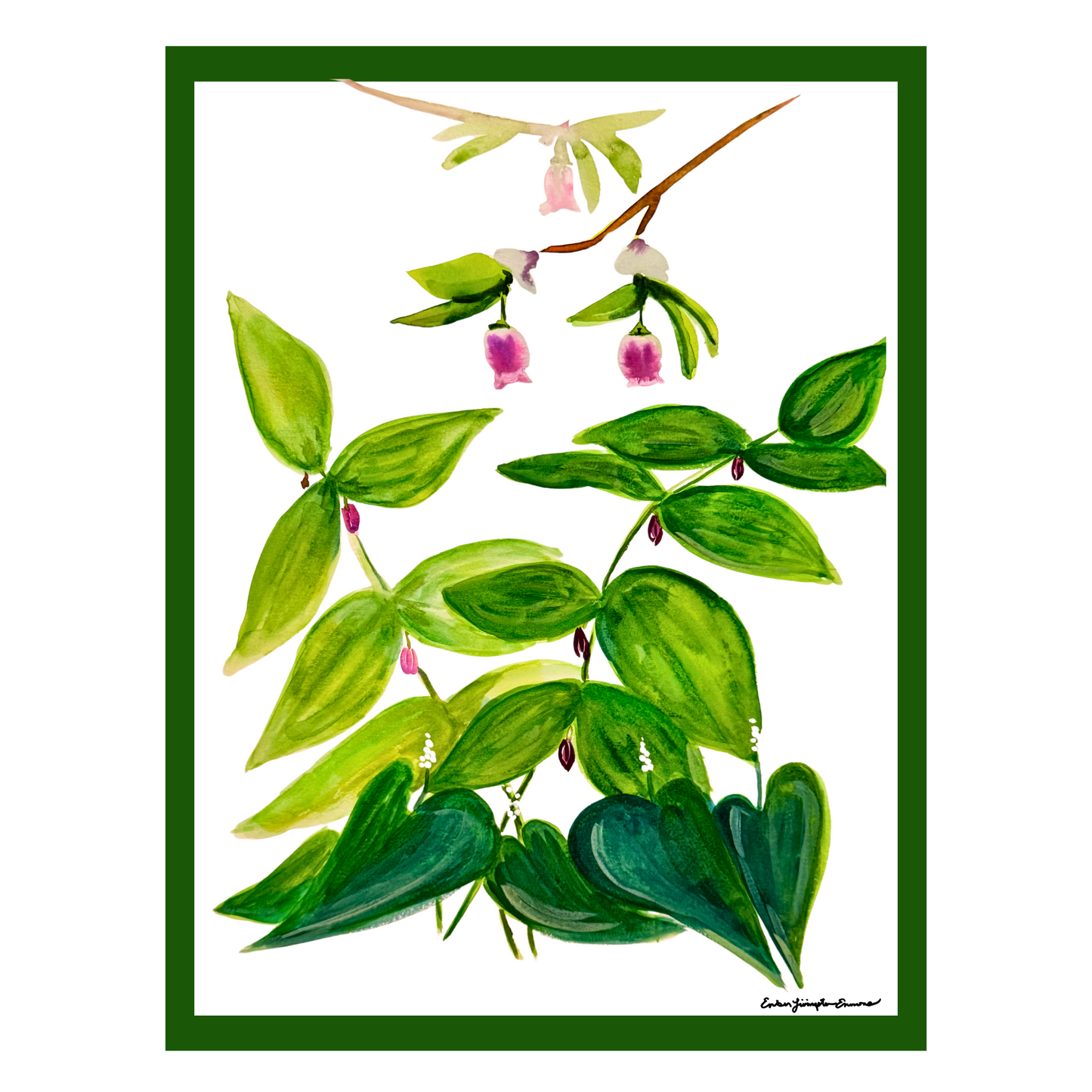 11111 Twisted Stalk and Huckleberry Blossom (Forest Medley)