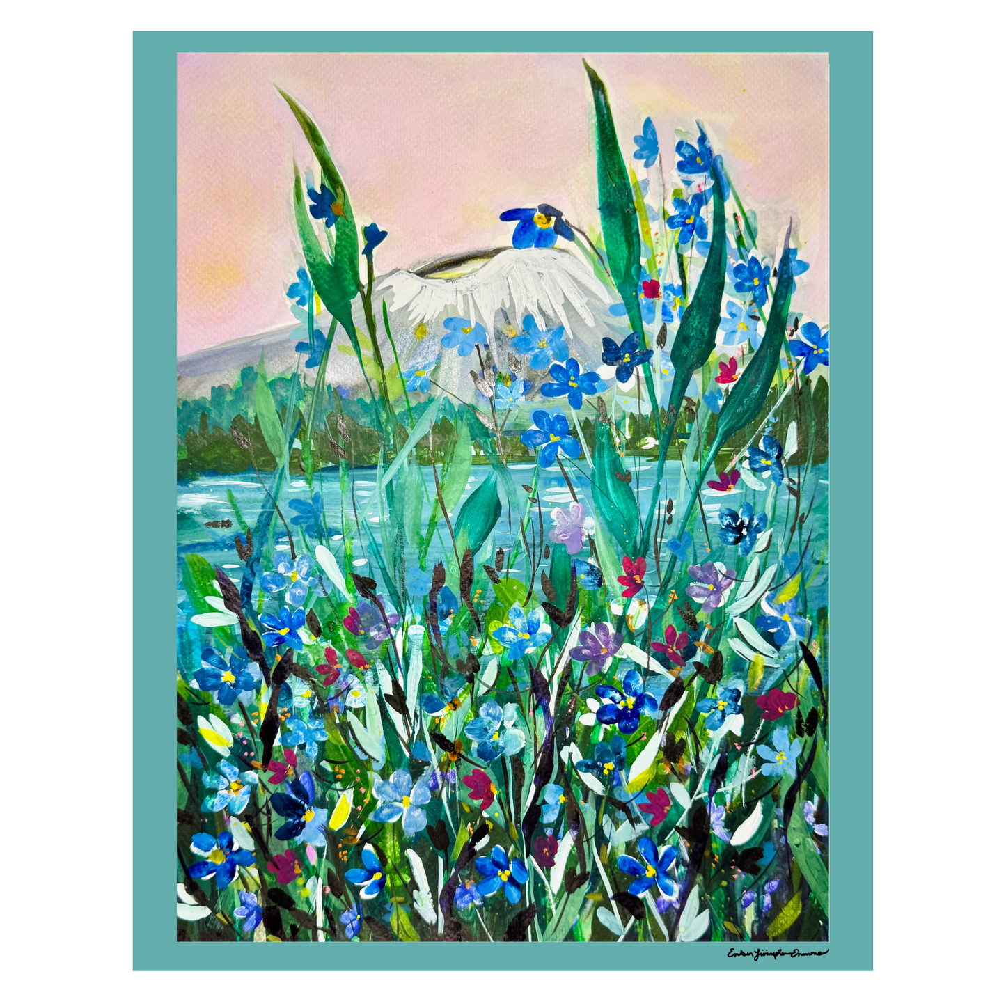 11111 Forget-me-nots and Edgecumbe