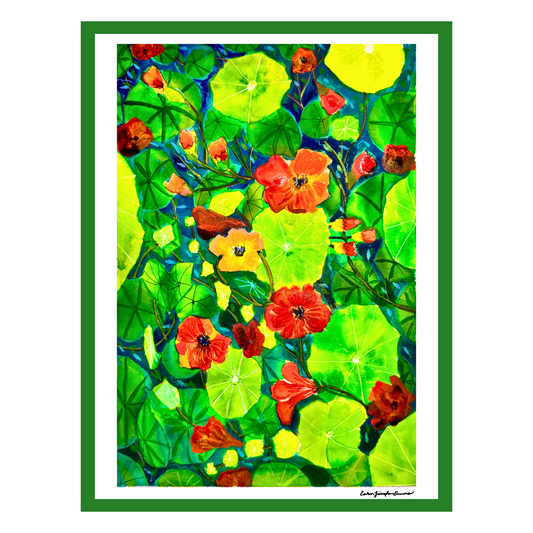 11111 Nasturtiums
