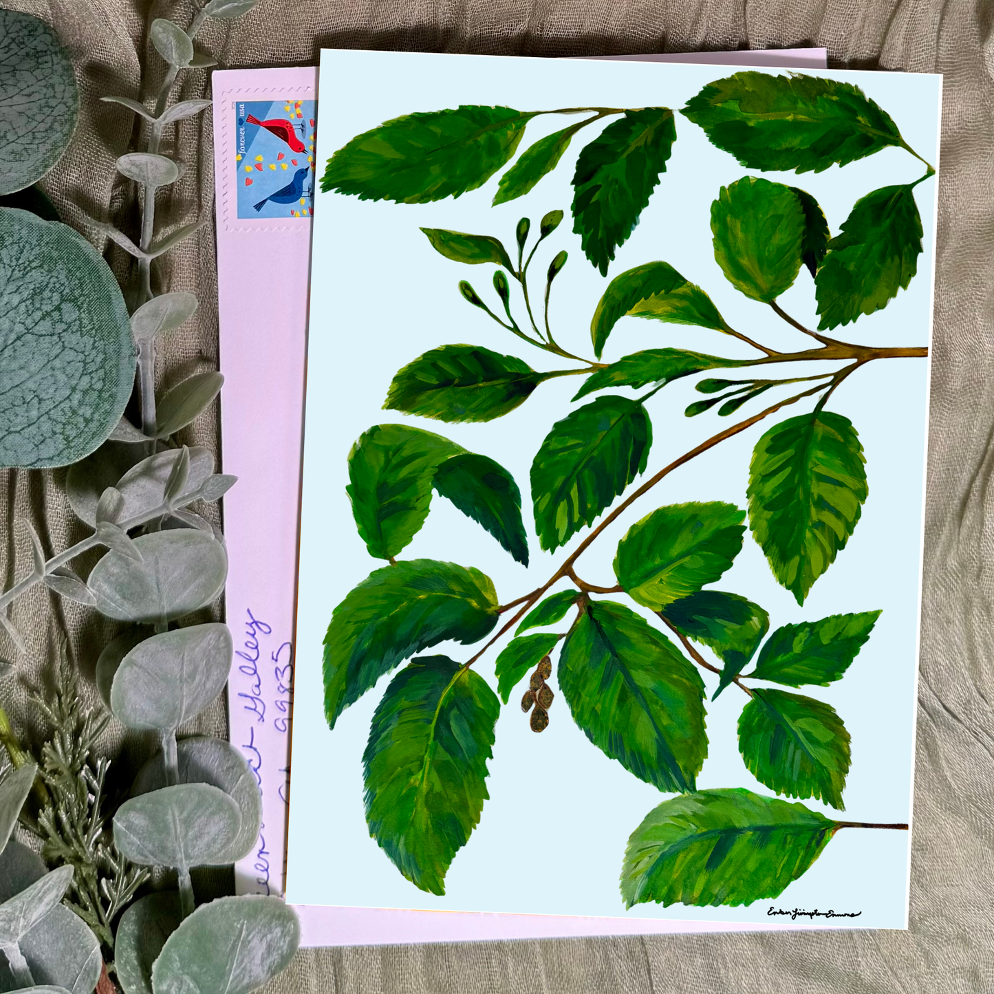 Alder Greeting Card