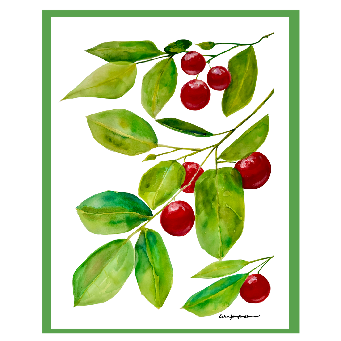 Red Huckleberries