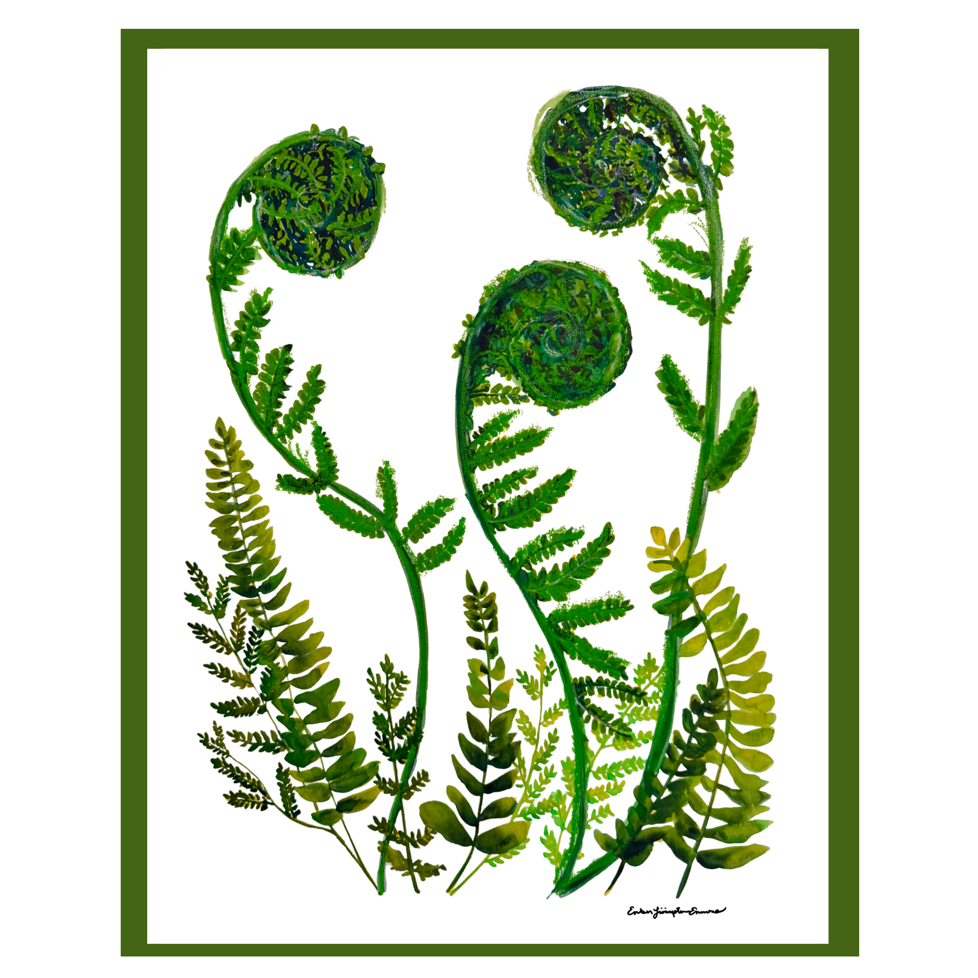 Fiddleheads