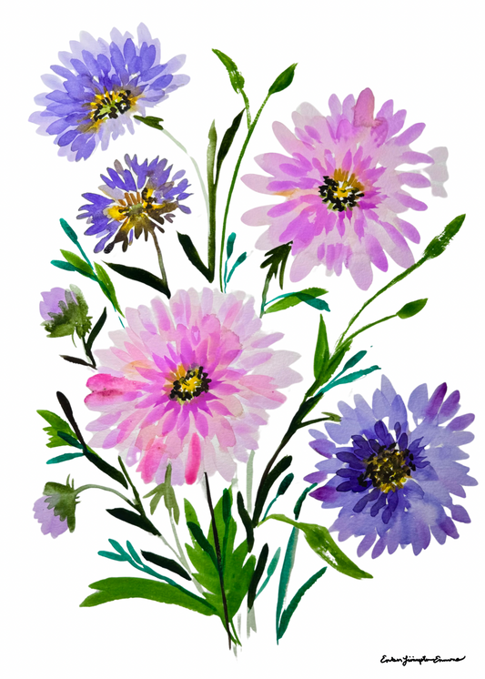 Purple and Pink Dahlias