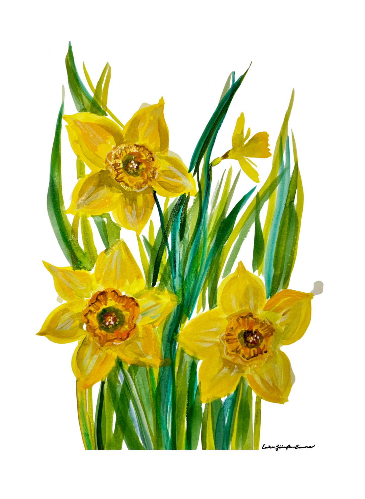 Daffodils