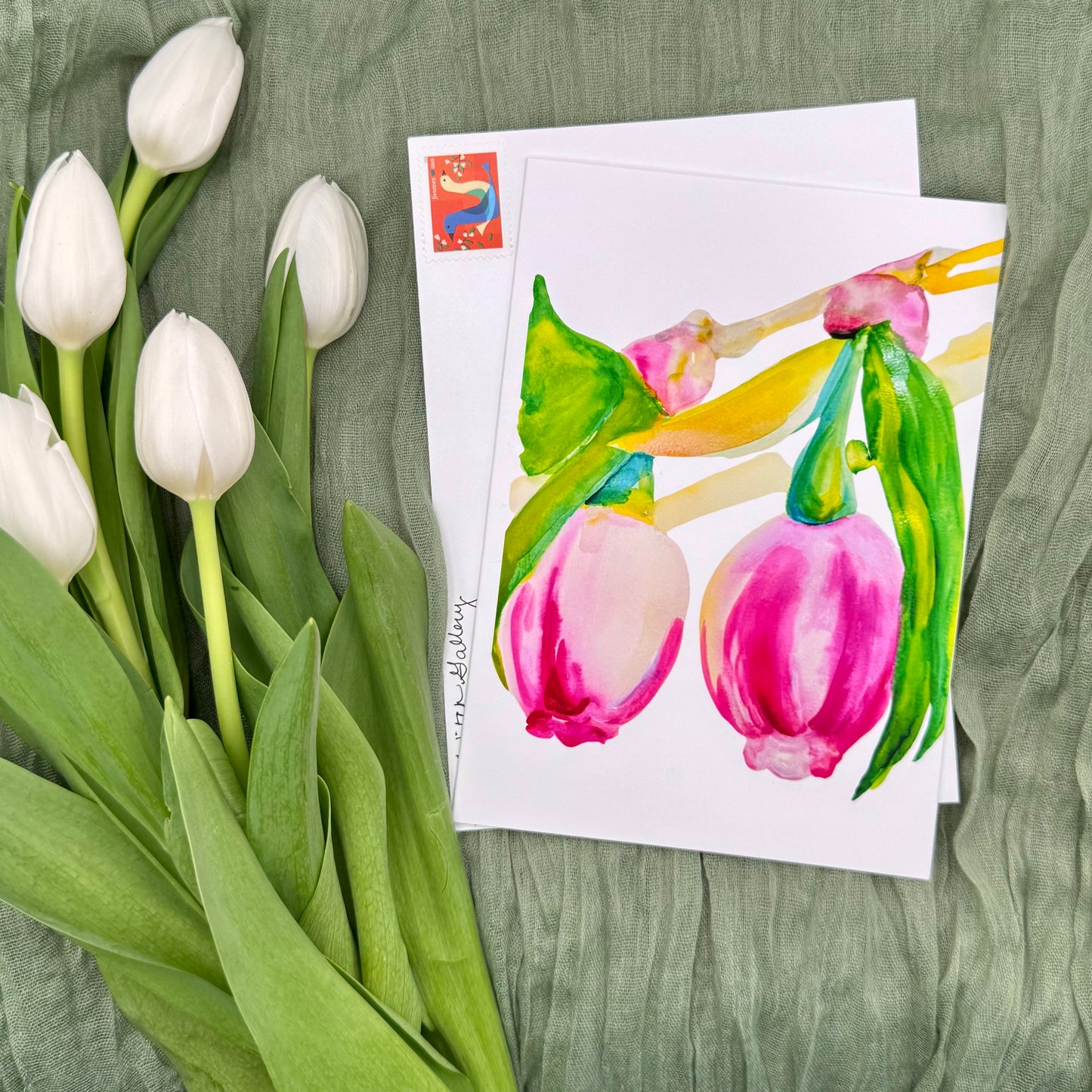 Wild Plants of Southeast Alaska Card Set.  $45.00