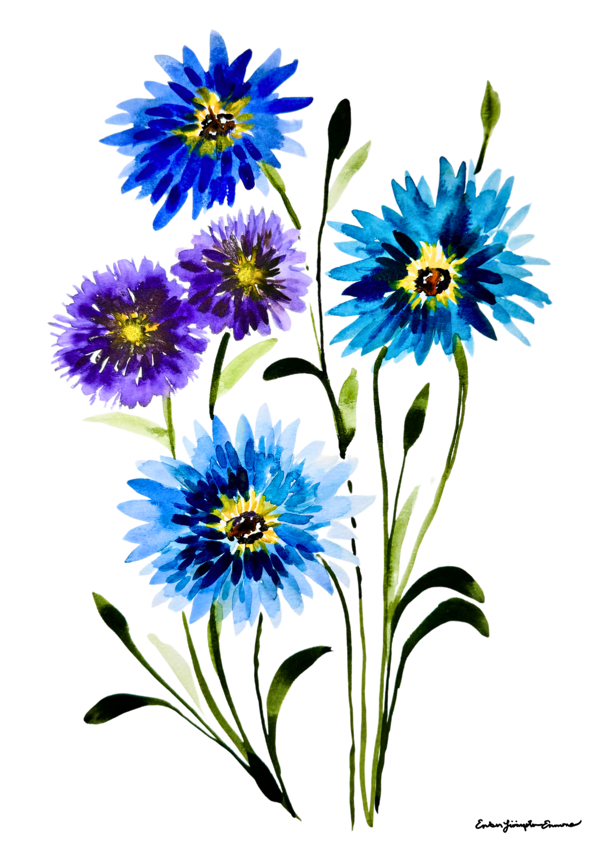 Purple and Blue Dahlias