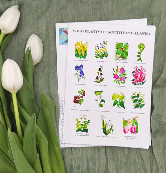 Wild Plants of Southeast Alaska Greeting Card