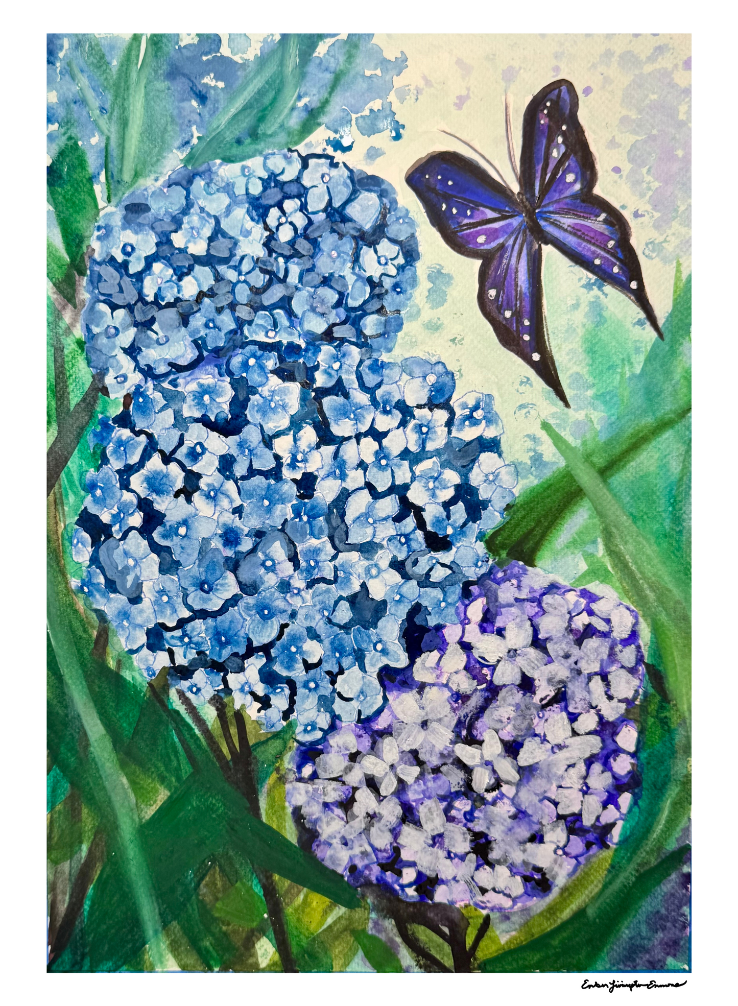 Hydrangea and Butterfly