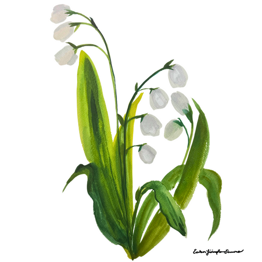 Lily of the Valley