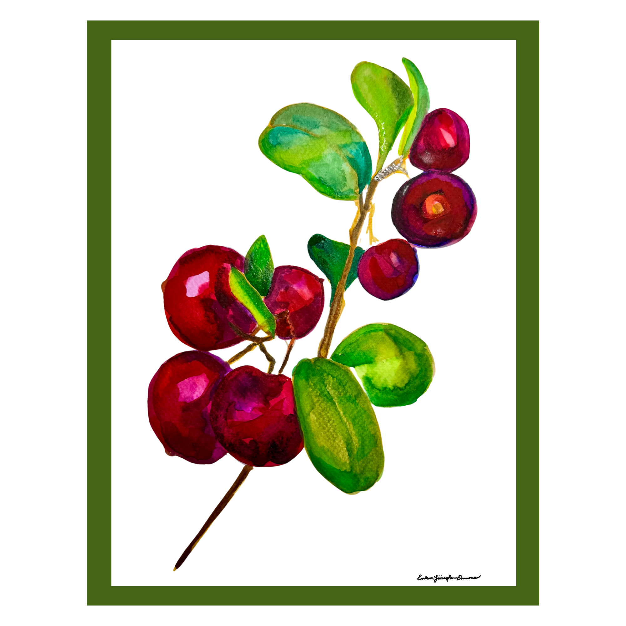 Artistic illustration of red cranberries and green leaves on a white background