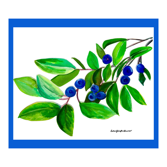Blueberry